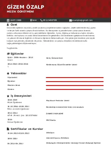 Müzik Öğretmeni Cv Örnekleri cv indir